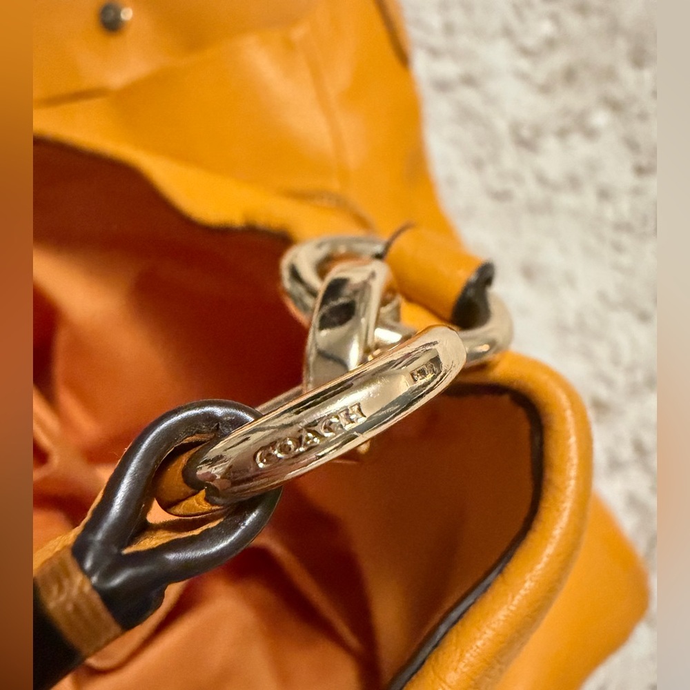 Upcrafted Coach black cat Pheobe Orange - Picture 8 of 15